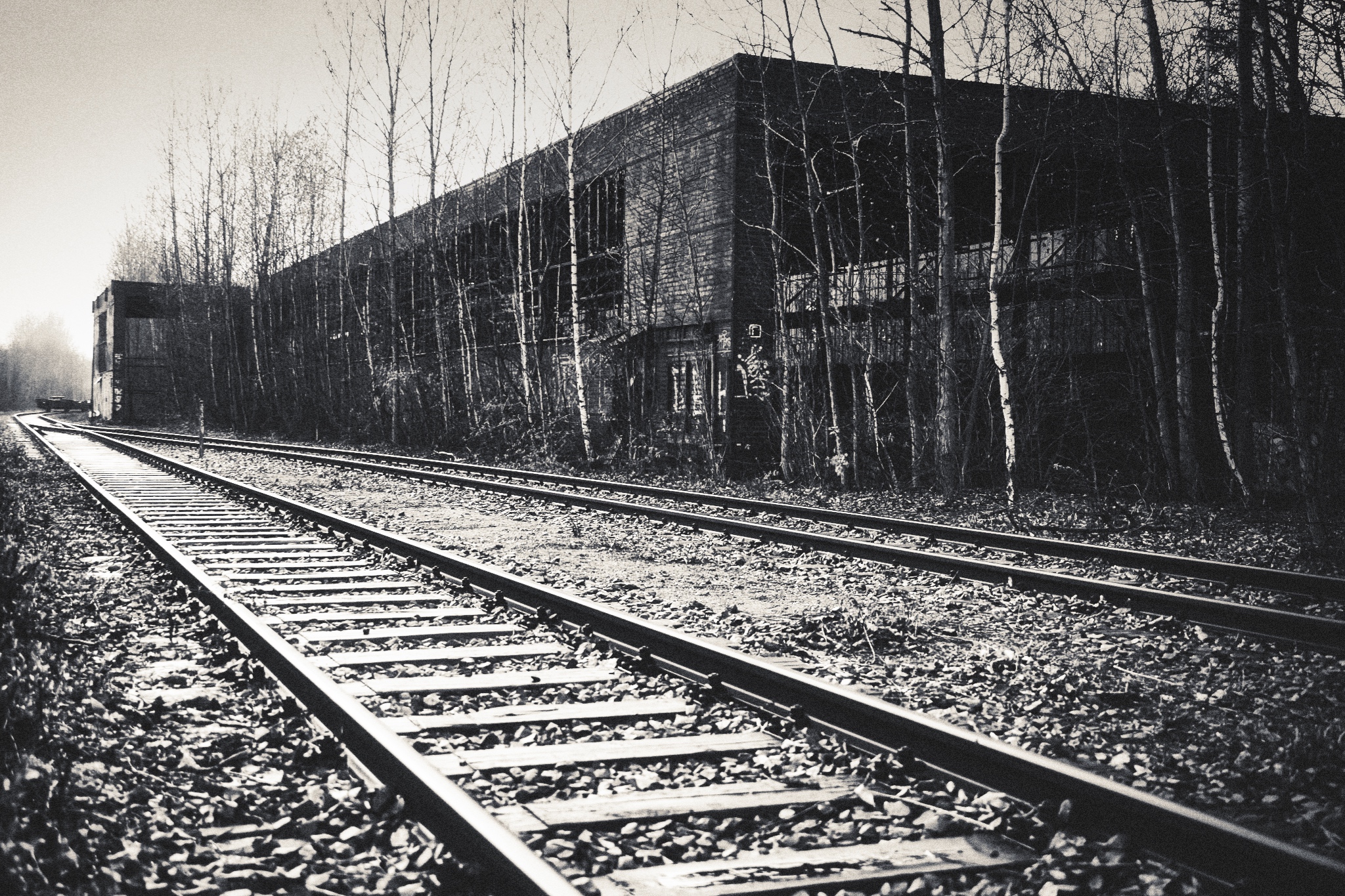 Zeche Zollverein - Bahnschienen